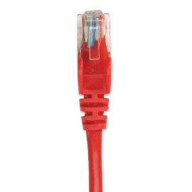 CABLE PATCH INTELLINET RJ45 0.5M(1.5FT) CAT6 UTP ROJO M-M 342131