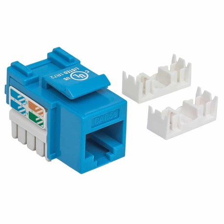 Jack  De Impacto Utp Cat5e Calibre 22 Al 26awg Intellinet Azul 210546